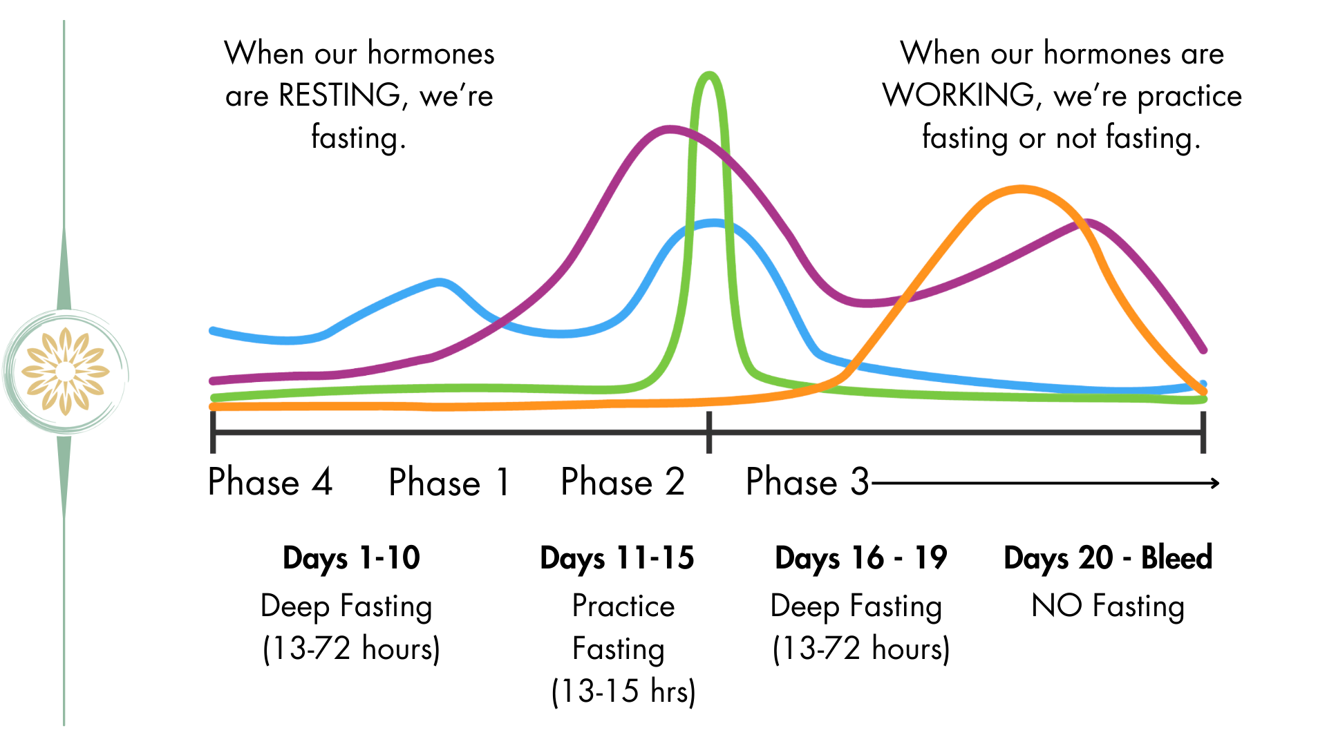 HORMONE BOOTCAMP SLIDES ETC