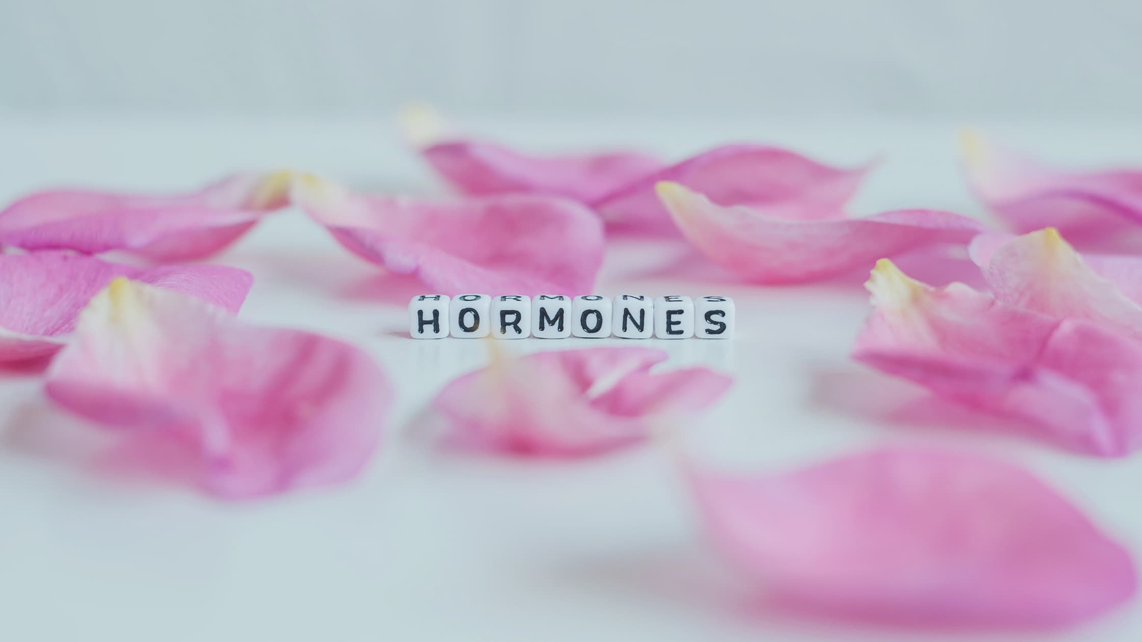 Balancing-your-Hormones-The-Hormonal-Hierarchy