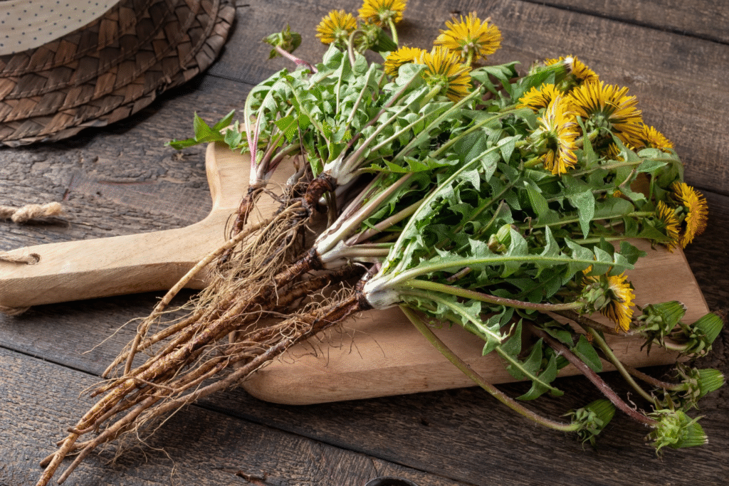 Bundle of Dandelions on a cutting board