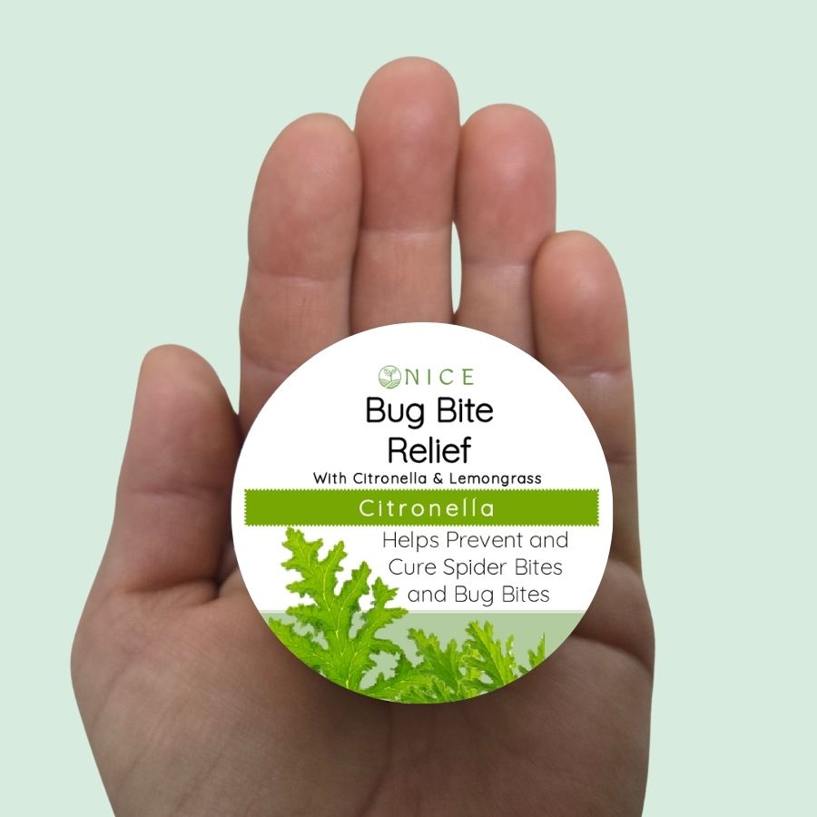 healing salve images